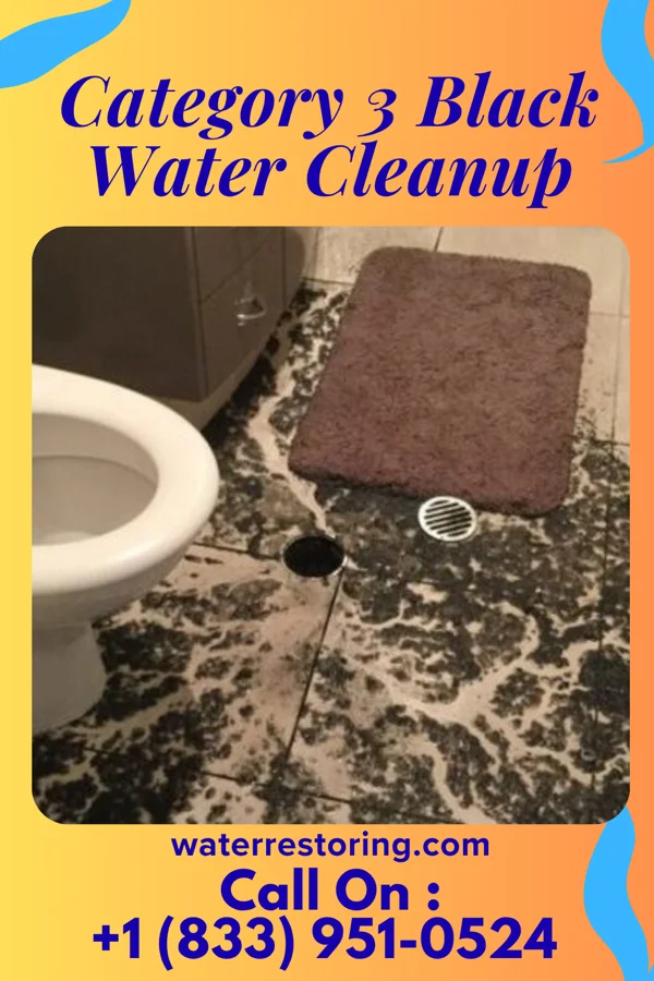 Category 3 Black Water Cleanup in Wilsey, KS
