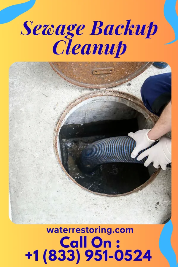 Sewage Backup Cleanup in Wilsey, KS
