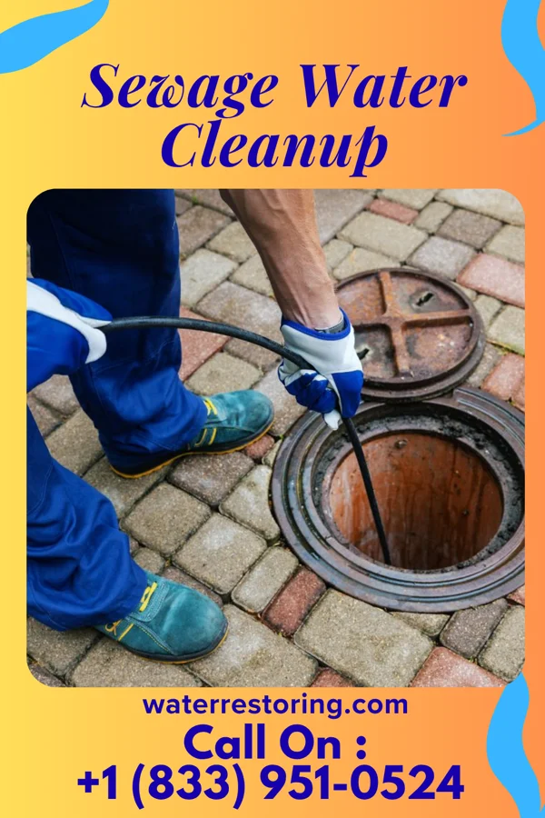 Sewage Water Cleanup in Wilsey, KS